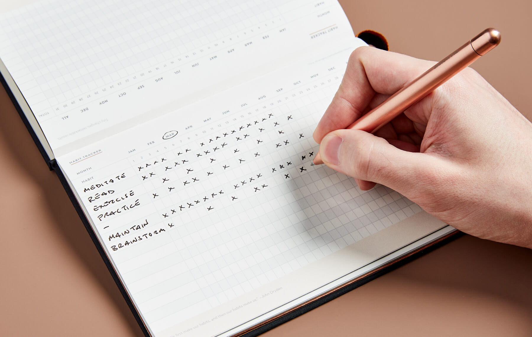 Person reviewing daily habit checklist and progress